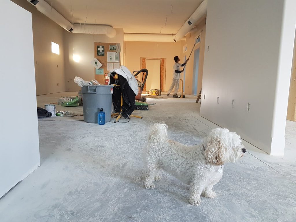 Frugal Home Renovation Projects