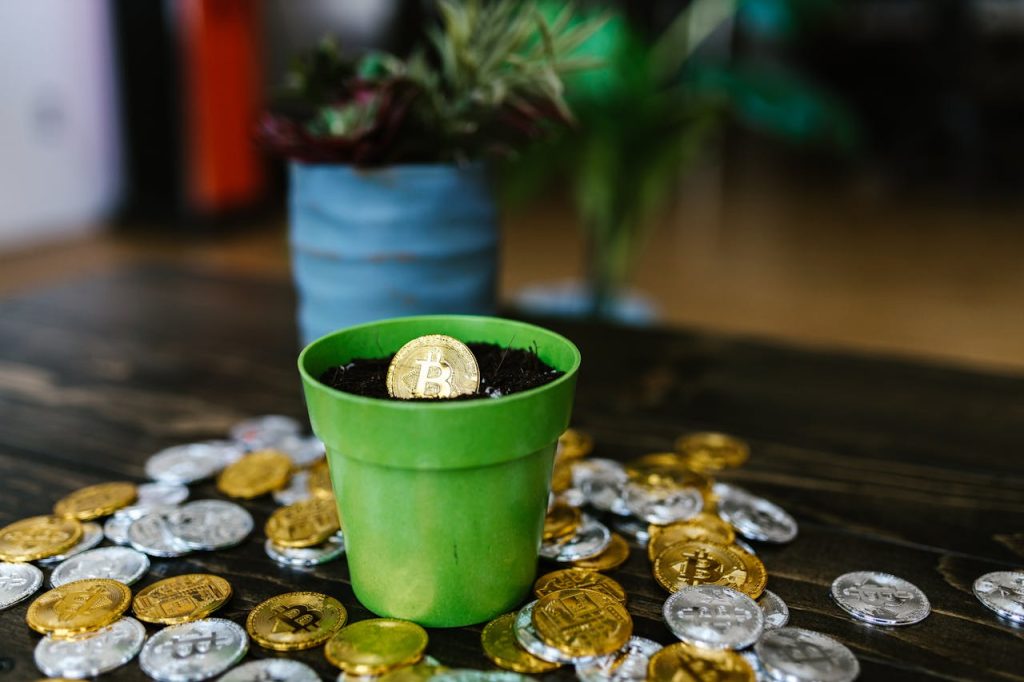 What Are the Most Popular Types of Cryptocurrencies? Types of Cryptocurrencies