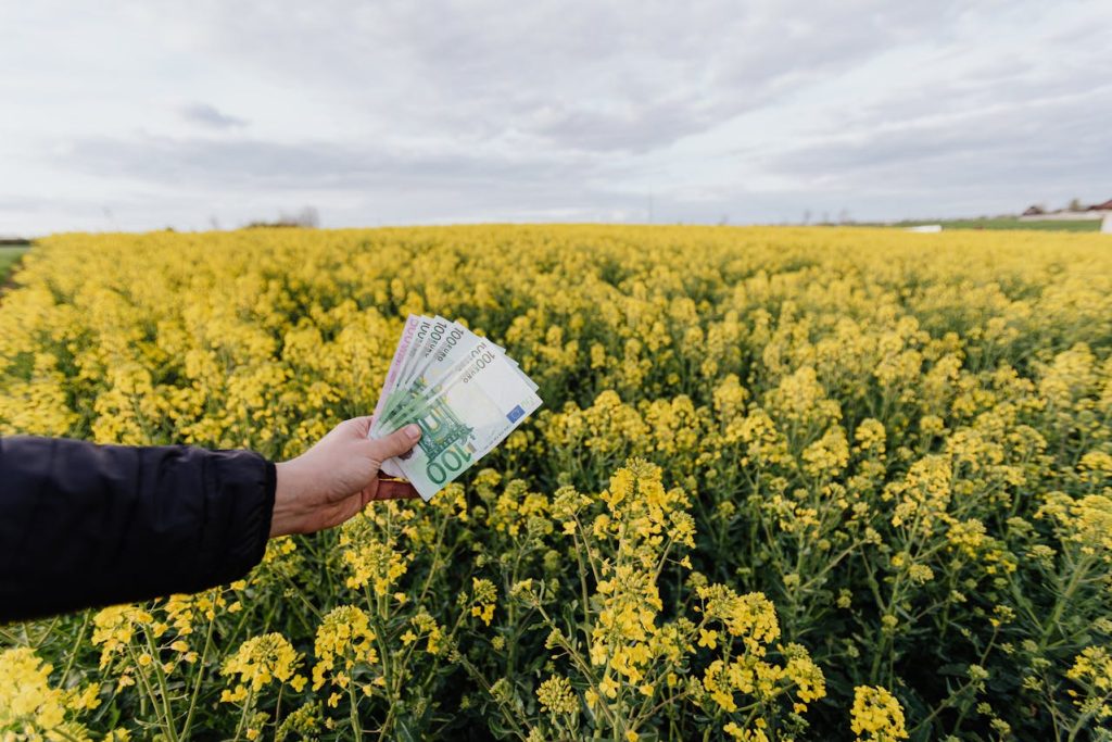 Farming Finance: How to Improve Your Farm’s Profit Turnover Farming Finance